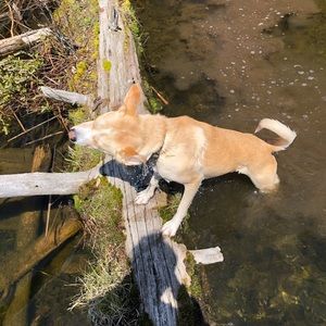 Meet your Posher, Tessa